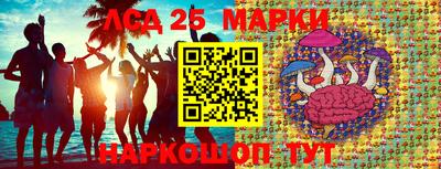ГАЛЛЮЦИНОГЕННЫЕ ГРИБЫ Берёзовский