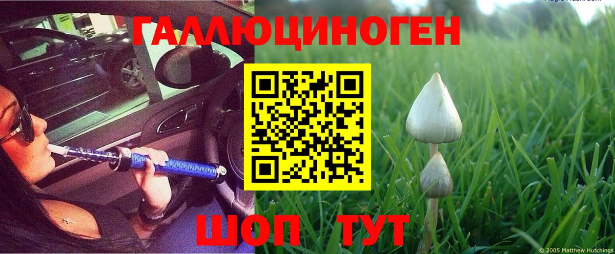 Вятские Поляны  Псилоцибиновые грибы мицелий  Вход с VPN 